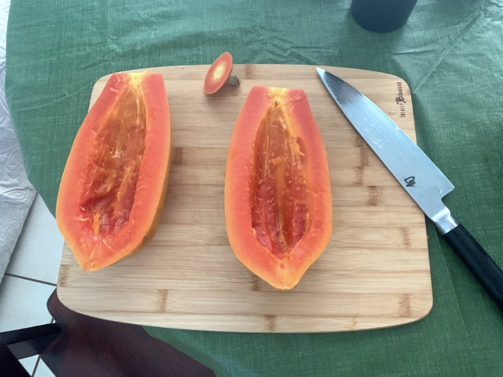 Papaya cut in half