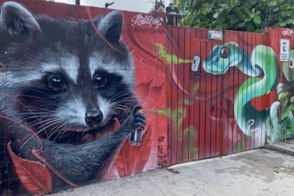 Street art in Playa del Carmen