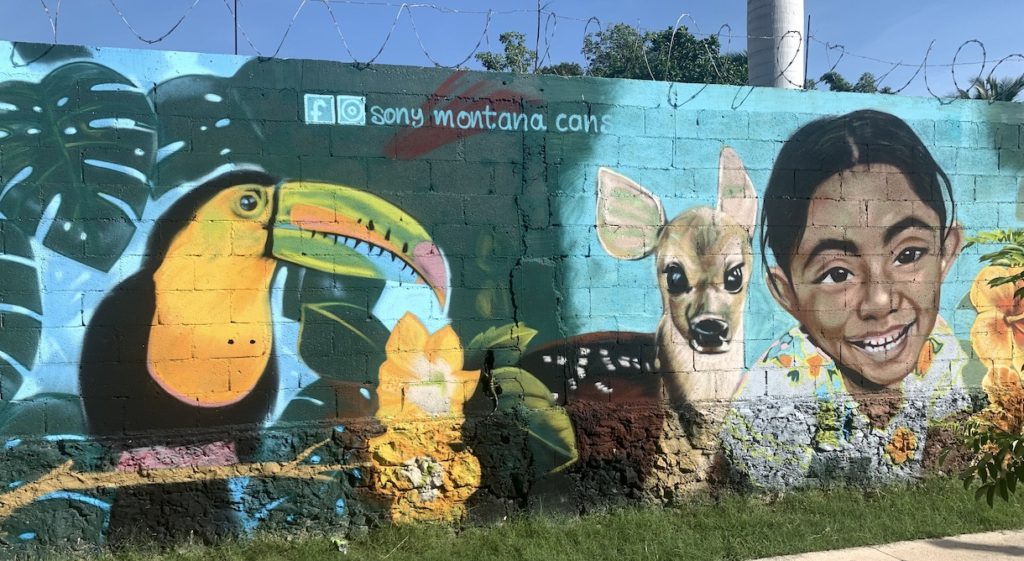 Iguana on wall of Playa street art