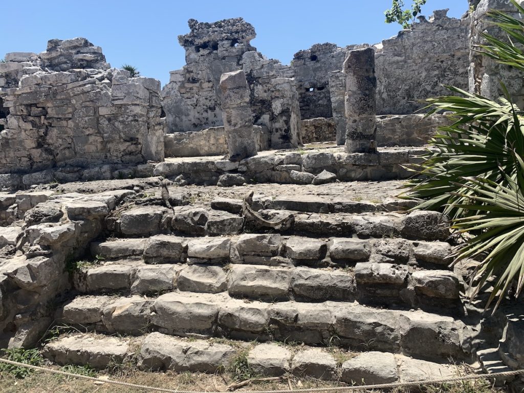 Tulum Mayan Ruin with iguanas