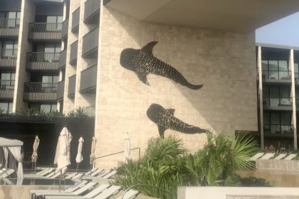 Whale-sharks on building
