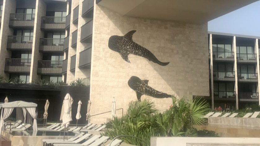 Whale-sharks on building