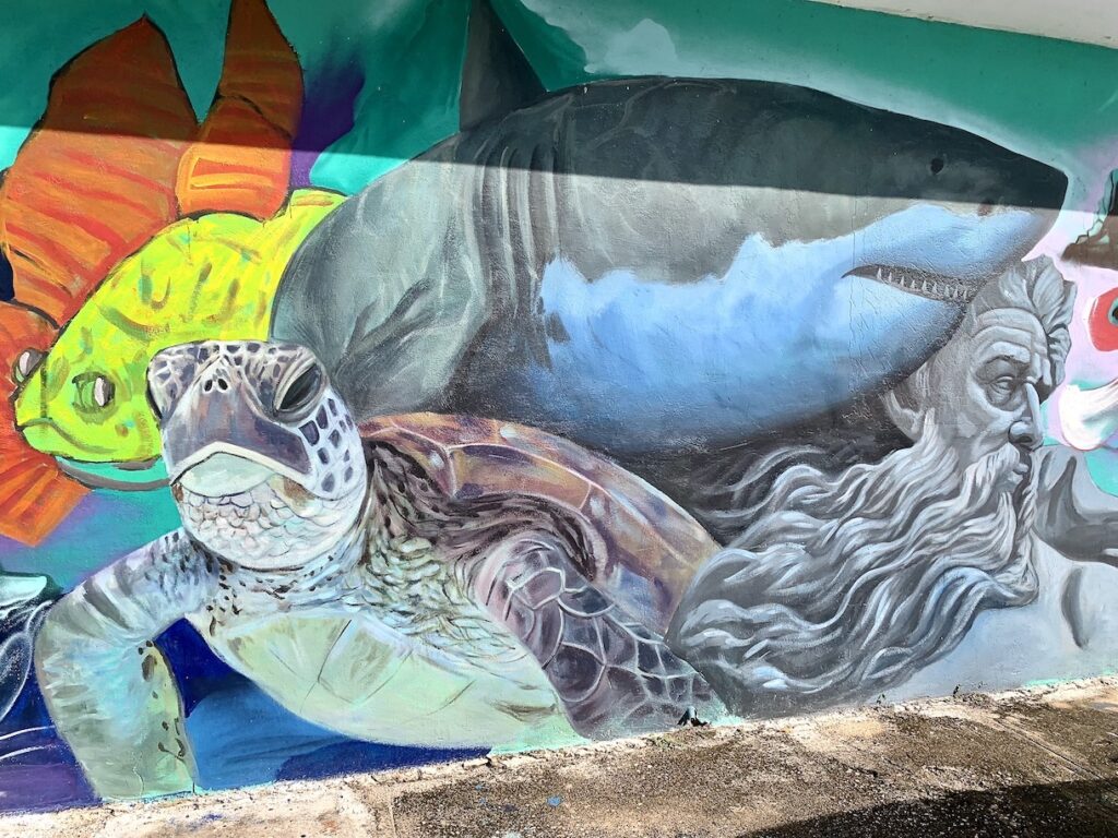 Playa del Carmen street art of turtle and shark