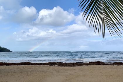 Rainbow over the ocean in Las Terrenas
