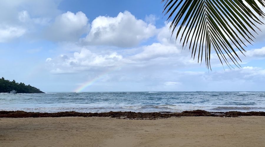 Rainbow over the ocean in Las Terrenas