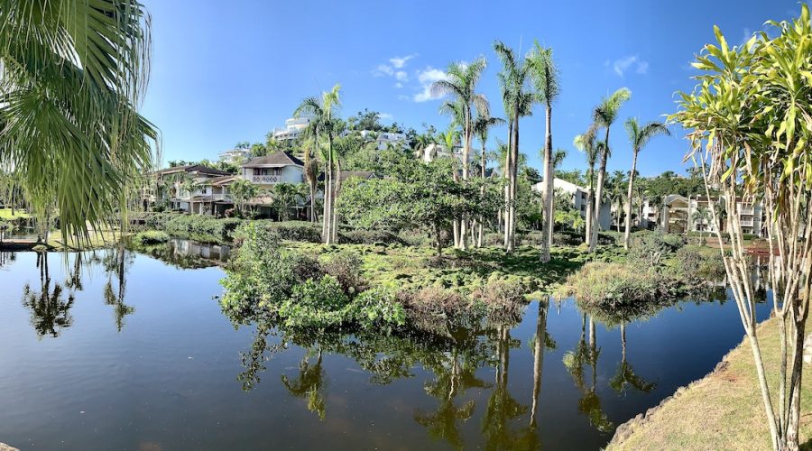 Marshlands in Las Terrenas