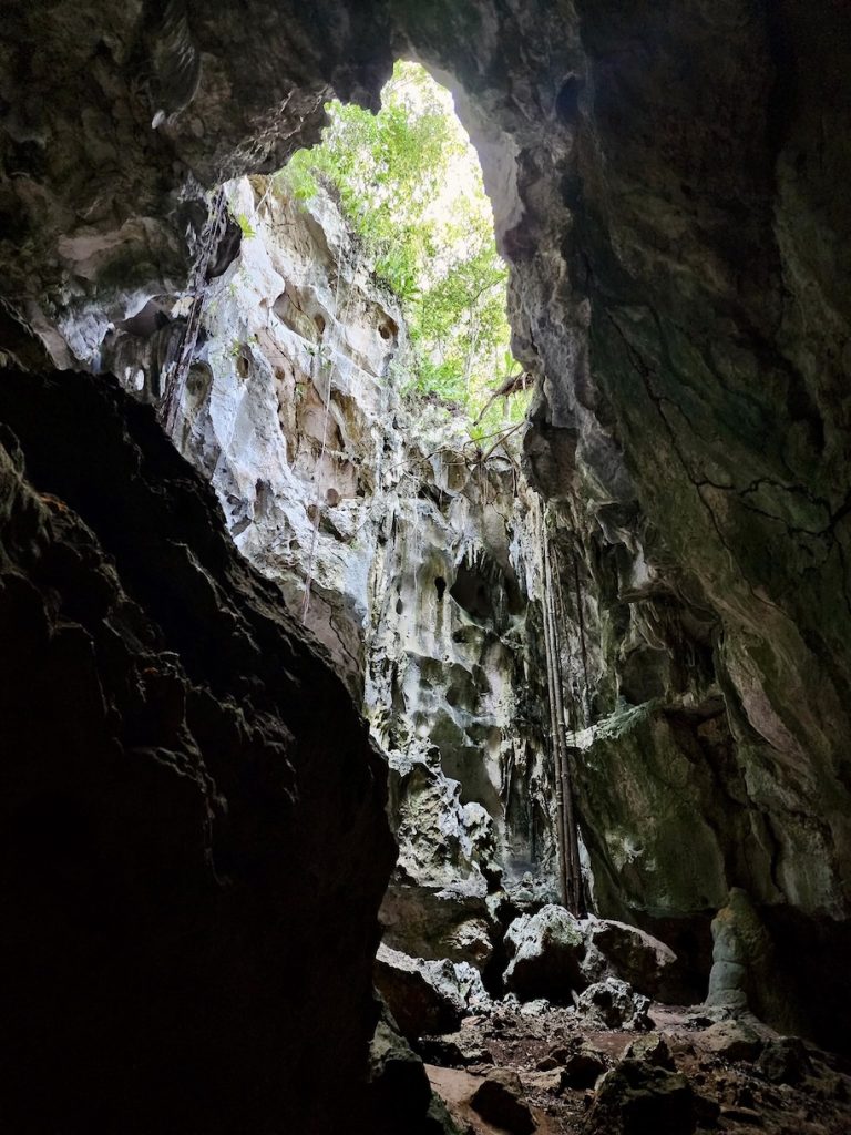 View from inside a cave