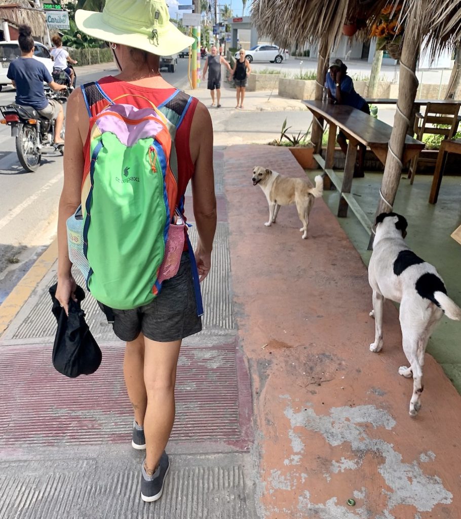 Mrs. ItchyFeet walking through town with some street-dogs