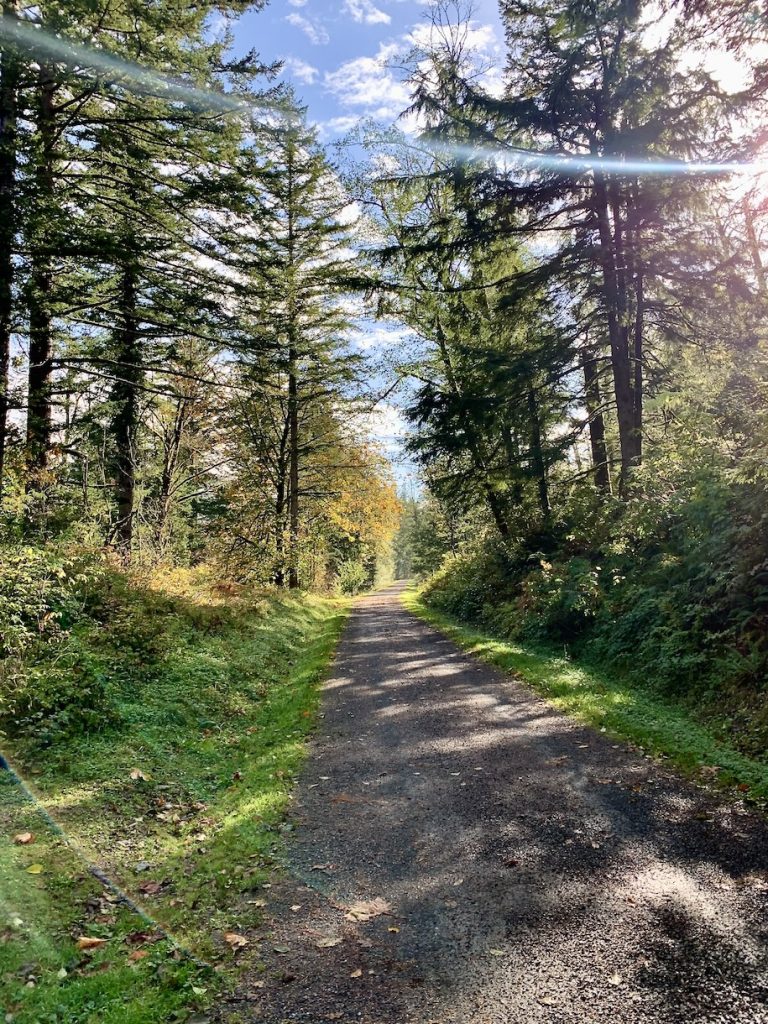 Hiking trail near Seattle