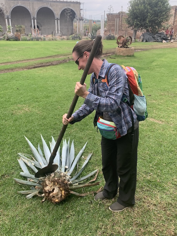 Mrs. ItchyFeet cutting agave