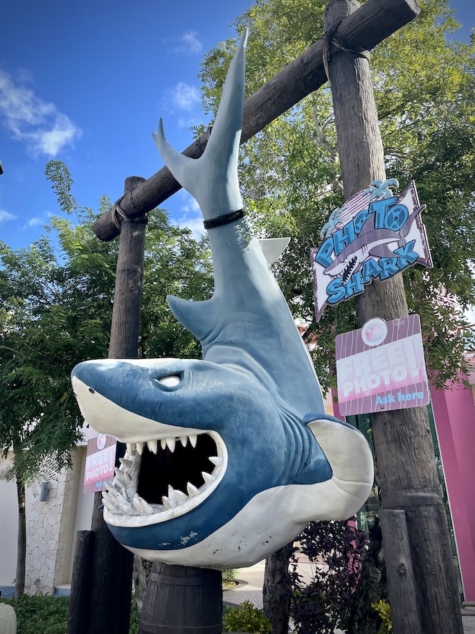 Shark statue