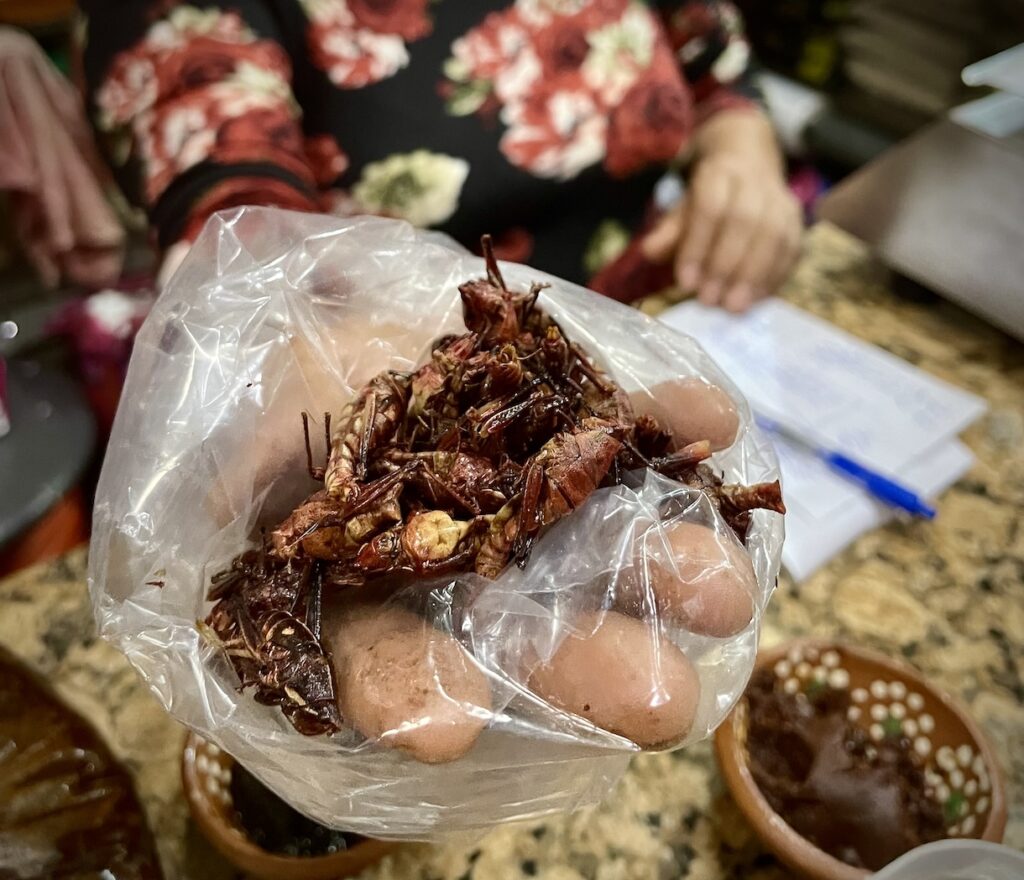 Oaxaca fried crickets