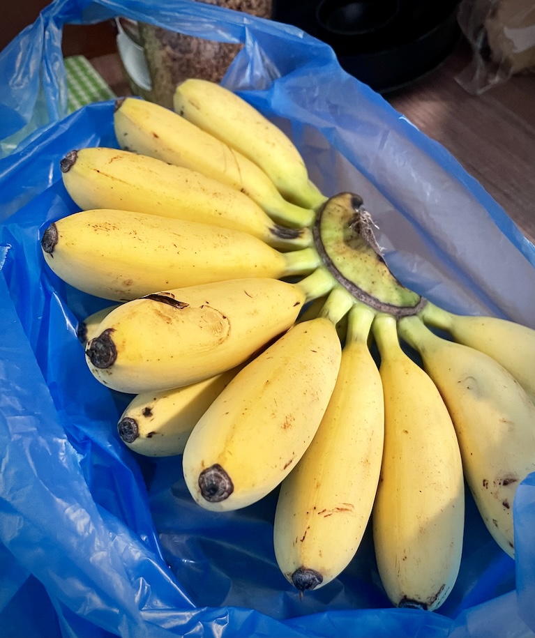 Plátanos Dominicos