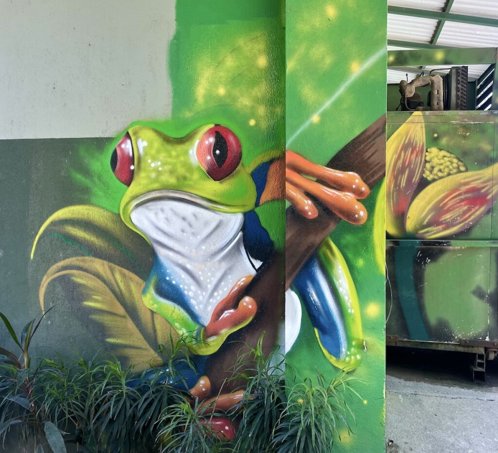 Tree frog wall art