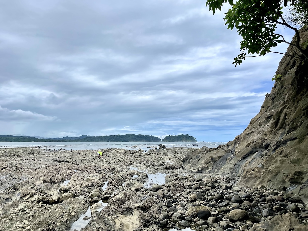 Tide pools