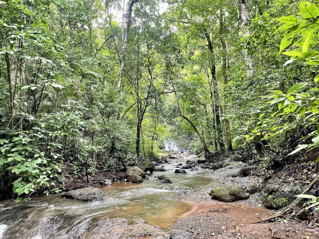 First glimpse of waterfall