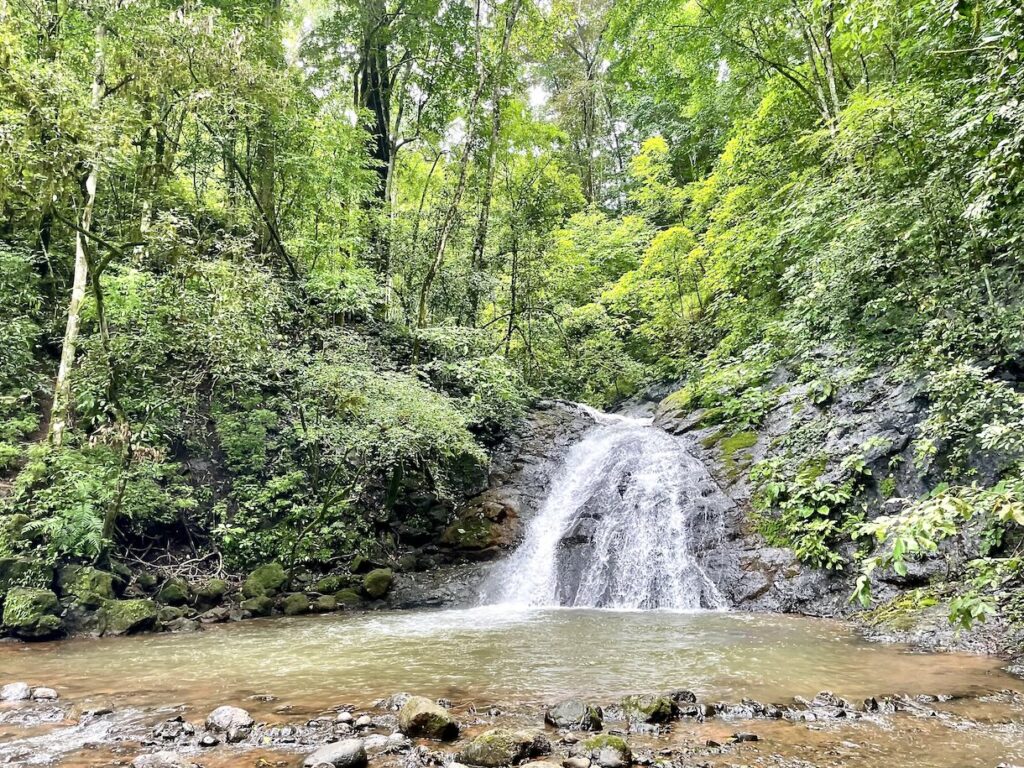 La Cascada de la Roca