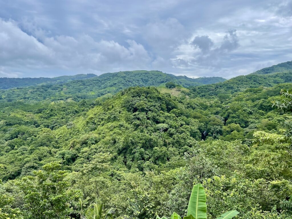 Vista from La Roca Restaurant