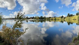 Fall colors around Greenlake