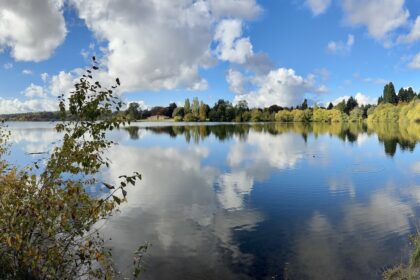 Fall colors around Greenlake