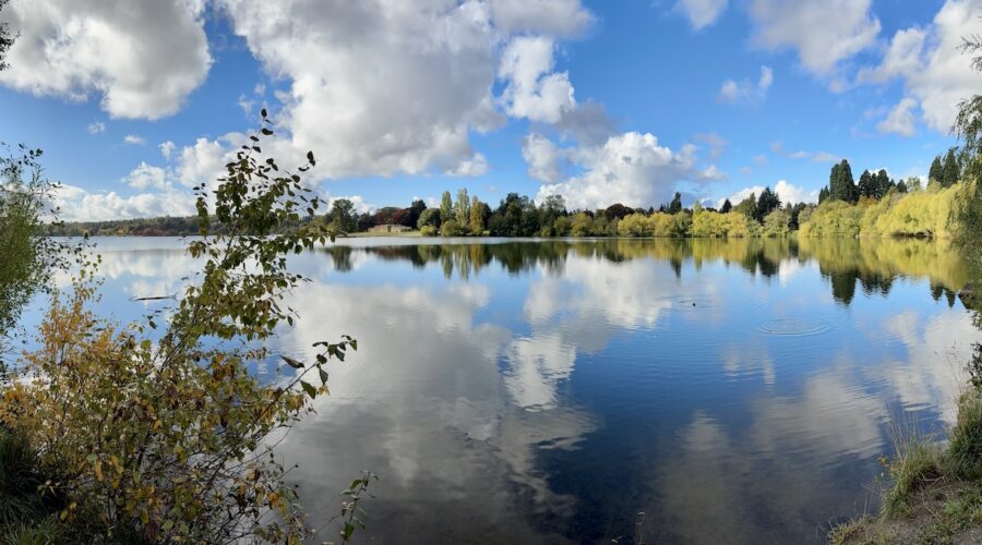 Fall colors around Greenlake