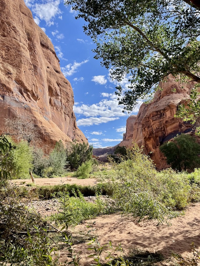 Mill Creek Waterfall Trail