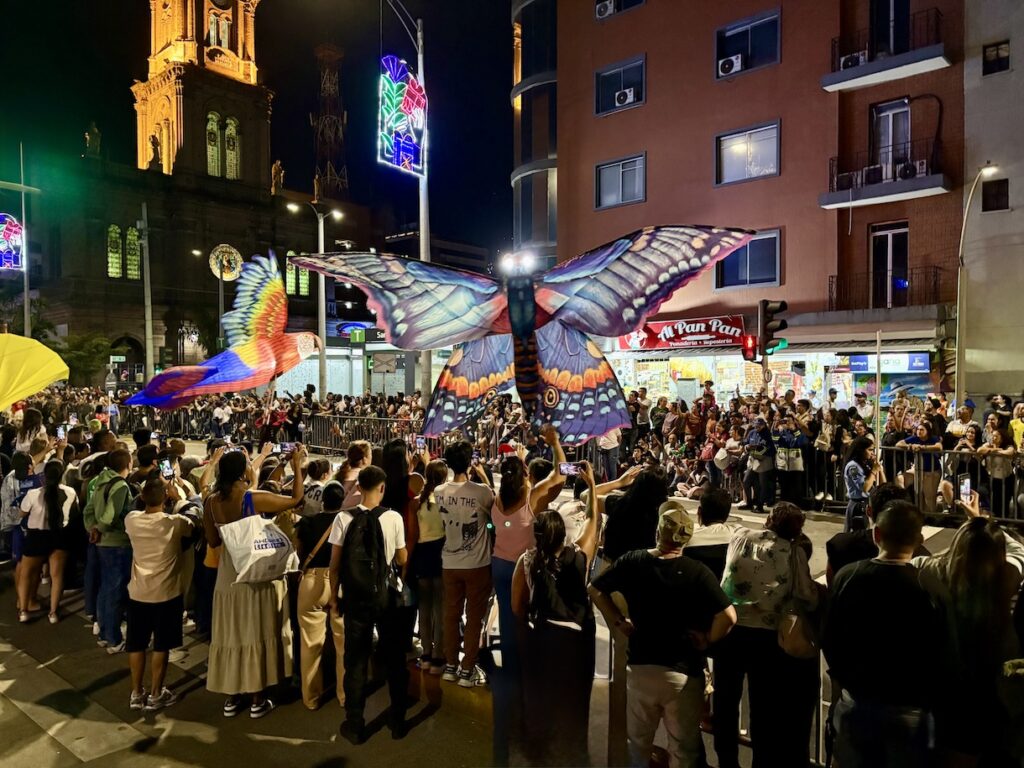 Bird and butterfly in parade