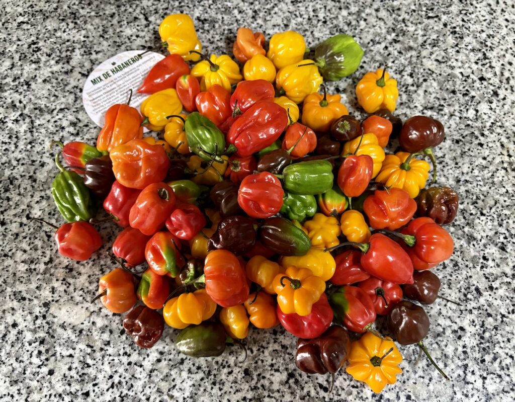 Mix of habaneros