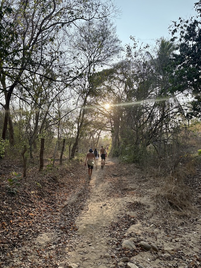 Hikers as sun sets