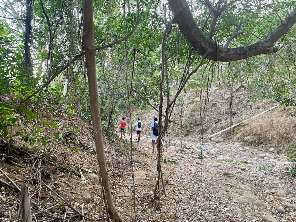 Hikers along creek bed