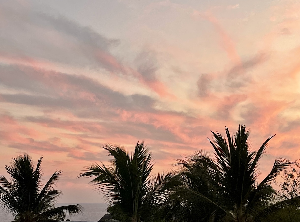 Sunset above palm trees