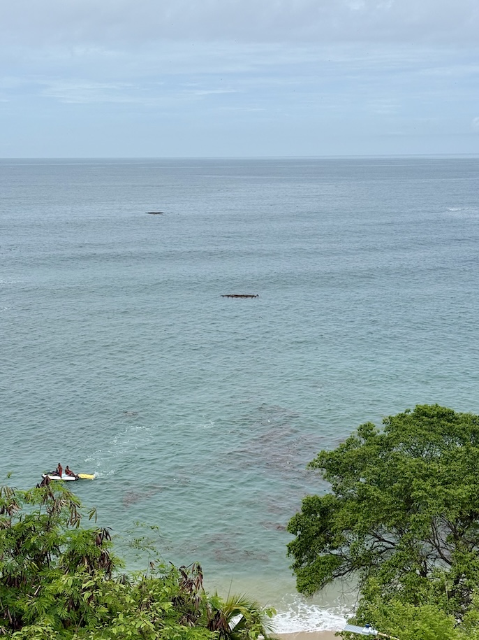 Floating debris in ocean