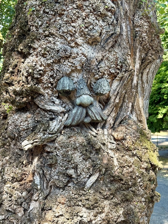 Face in tree bark