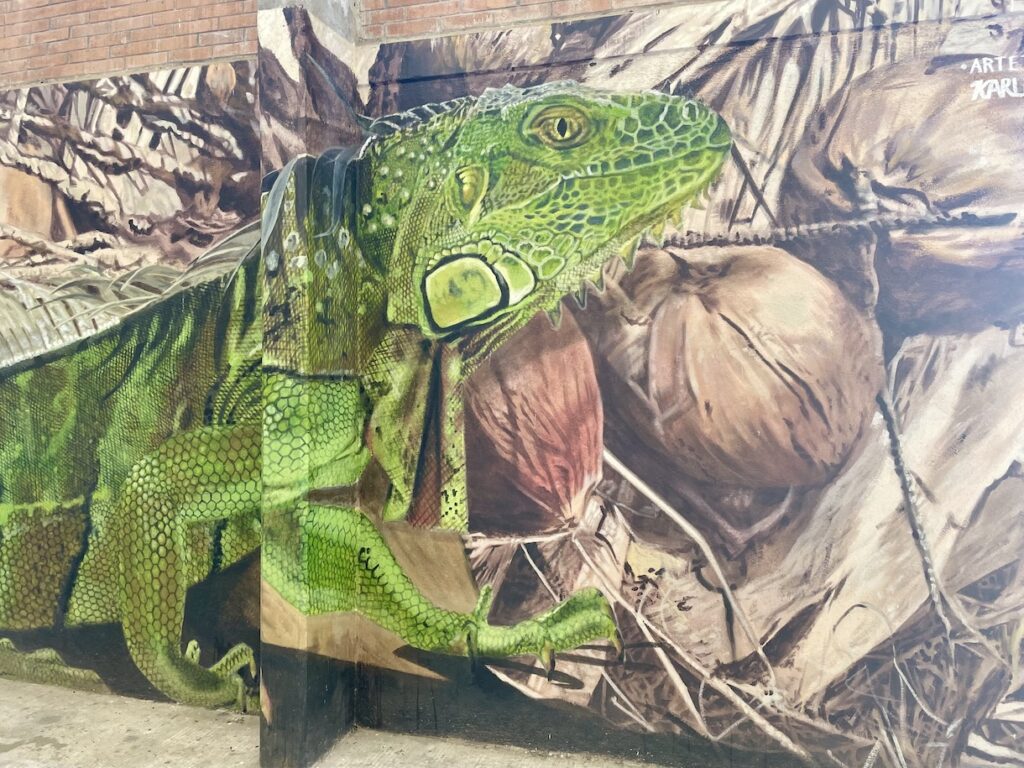 Iguana street art