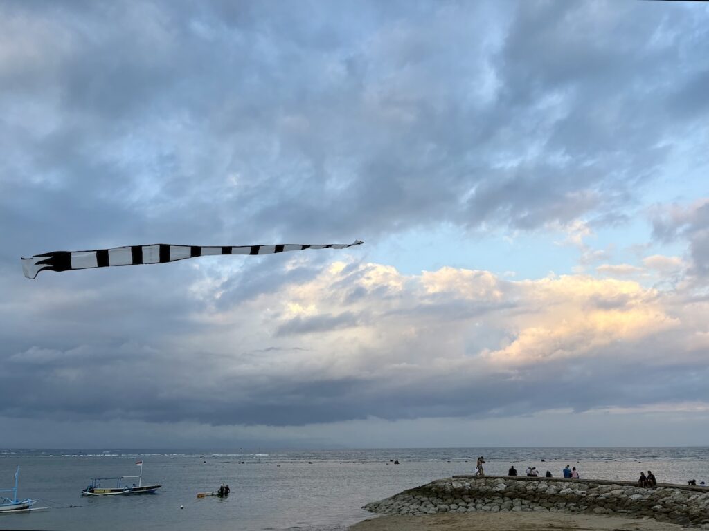 Kite flying