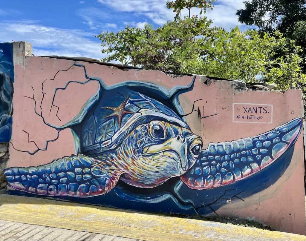 Turtle street art