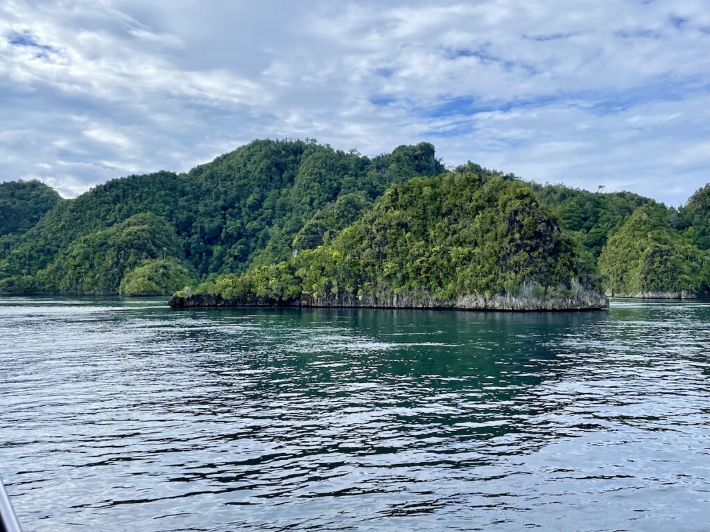 Lush tropical islands