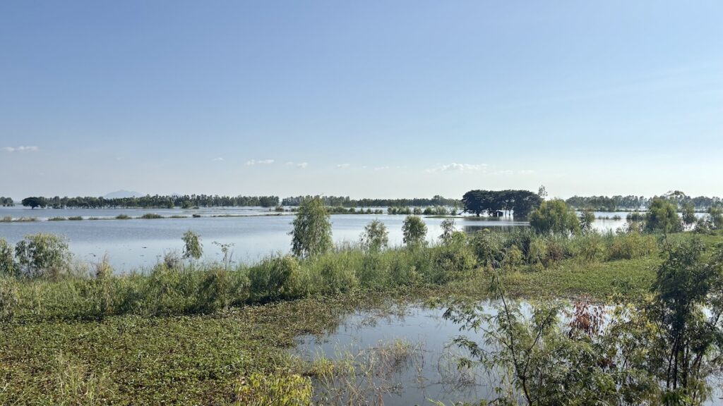 Fields filled with water