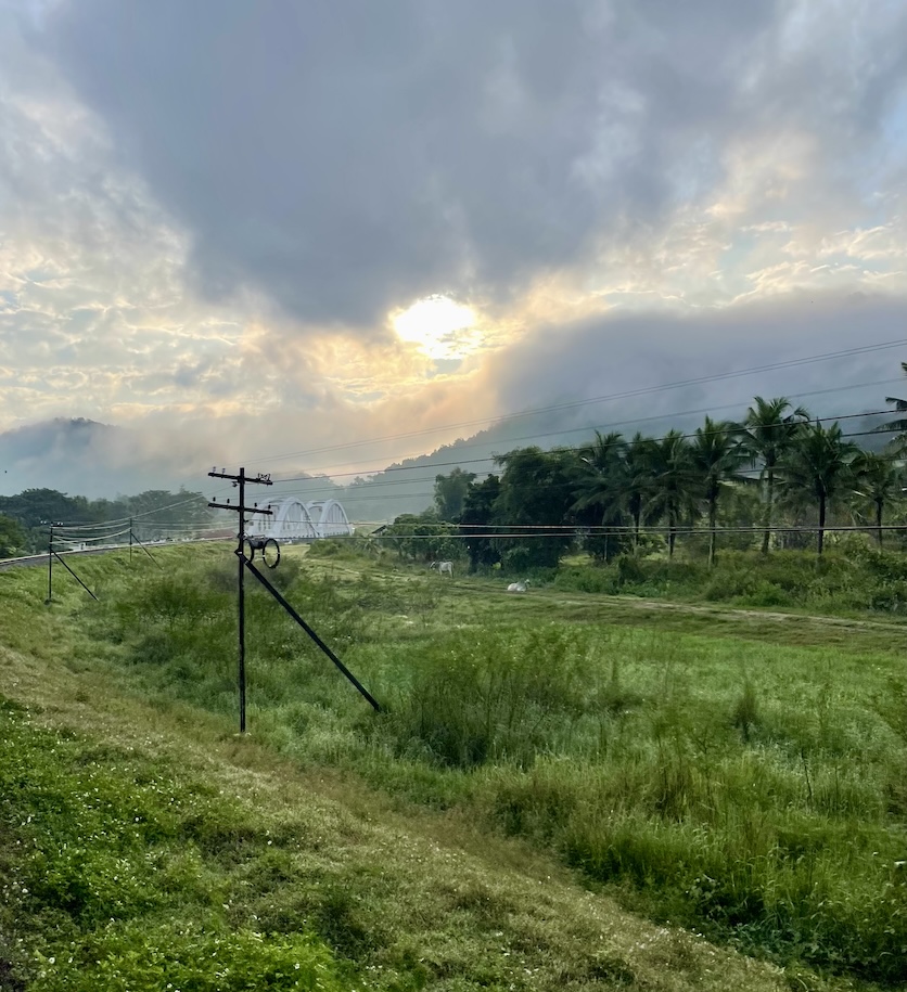 Bridge from the train