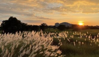 Sunset with rice paddies from the train