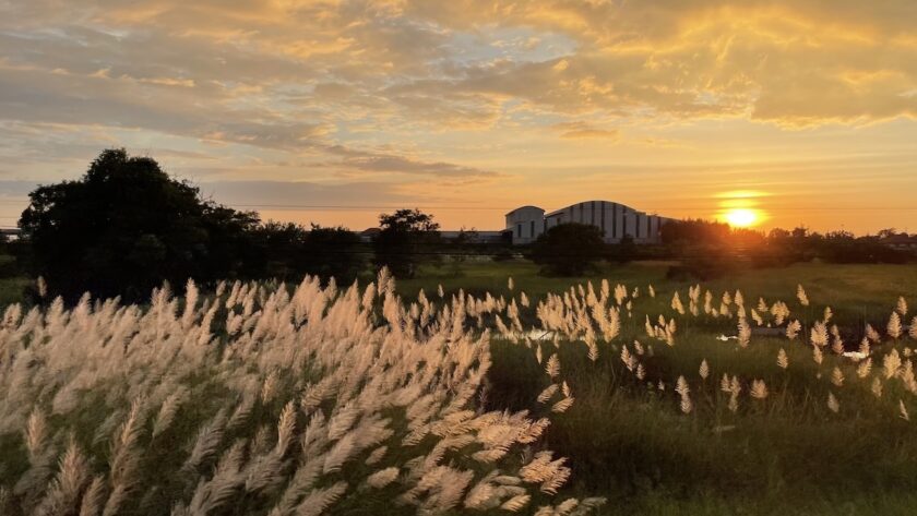 Sunset with rice paddies from the train