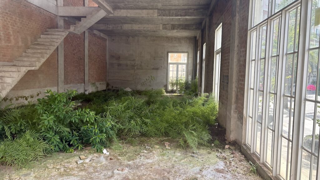 Nature retaking a shop