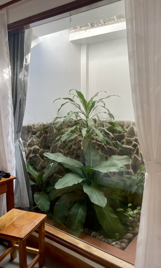 Garden in the bathroom