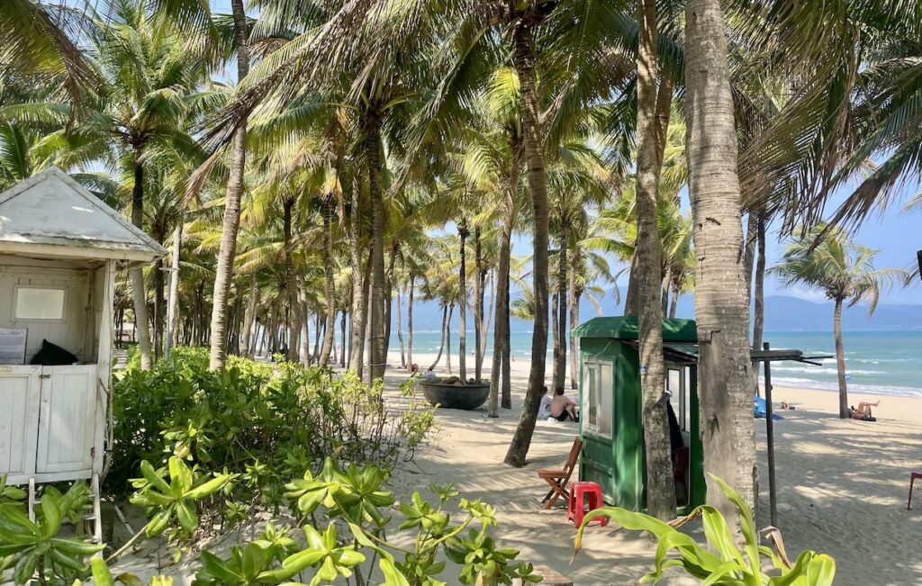 Đà Nẵng beach with palm trees
