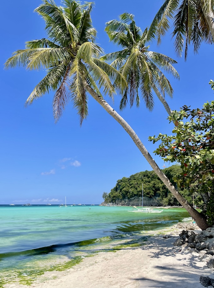 Palm Trees over Sinagpa Beach