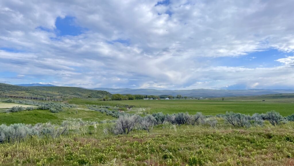 Copper Belt Vineyards near Baker City, Oregon
