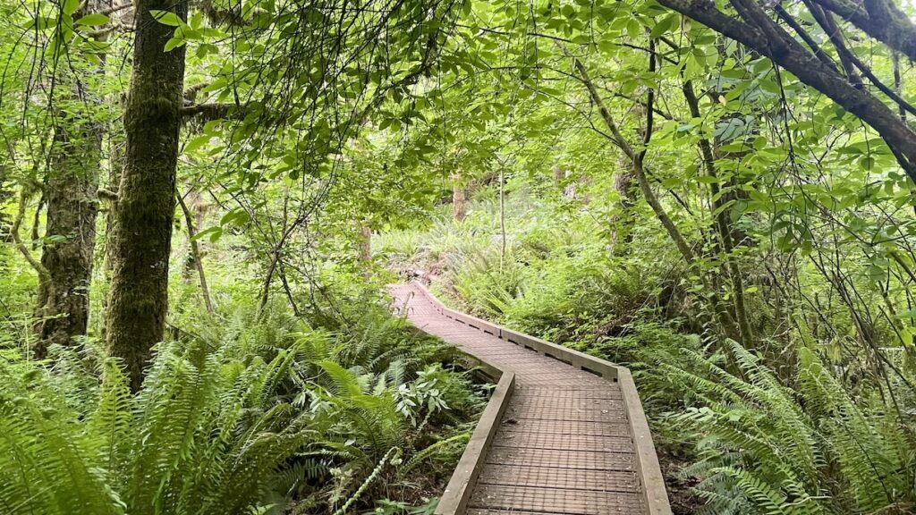 McMinnville hiking trail